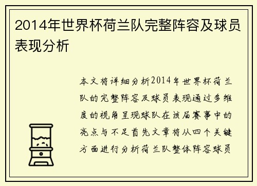 2014年世界杯荷兰队完整阵容及球员表现分析